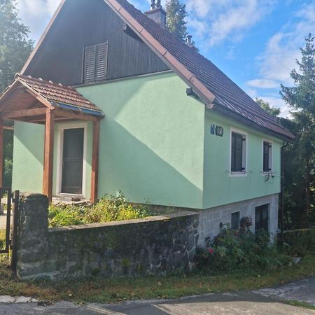 Forest Chalet Zalesina Buitenkant foto