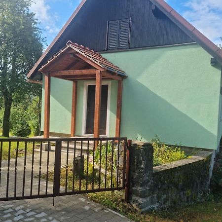 Forest Chalet Zalesina Buitenkant foto