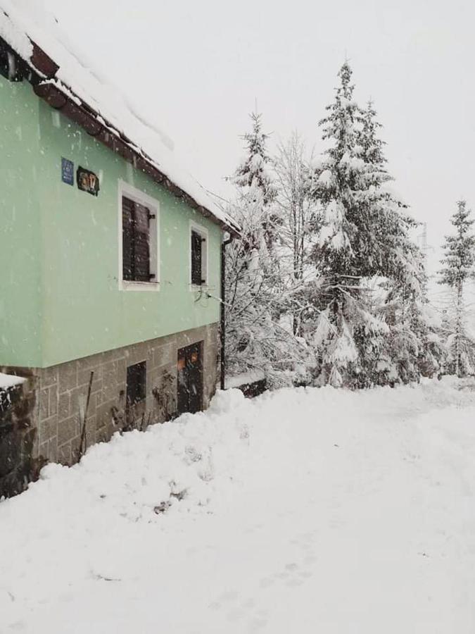 Forest Chalet Zalesina Buitenkant foto