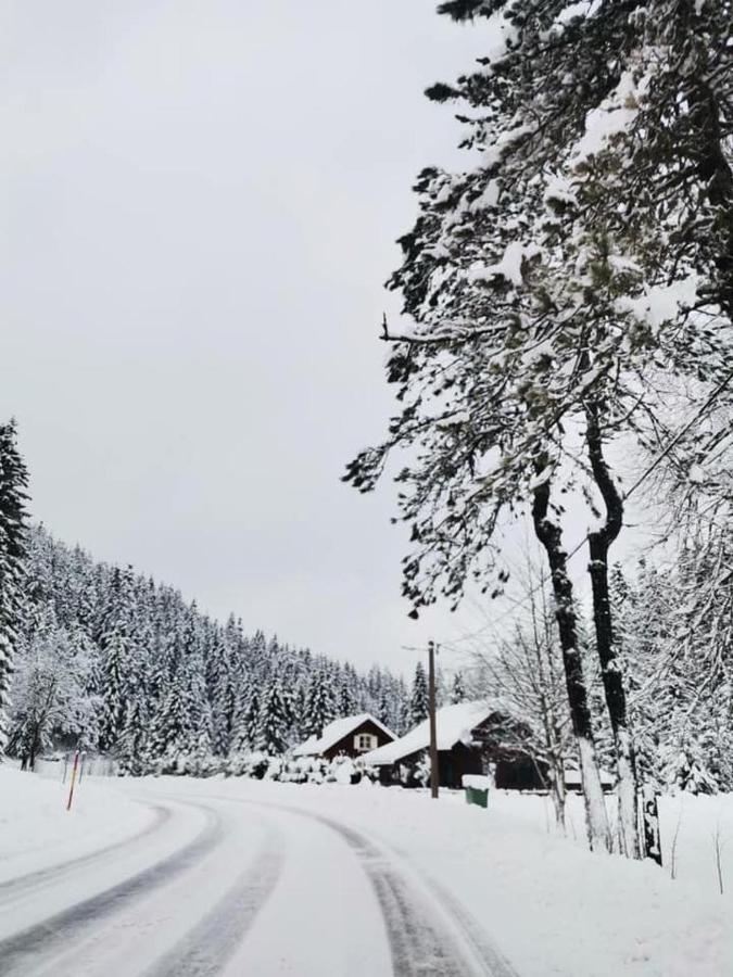 Forest Chalet Zalesina Buitenkant foto