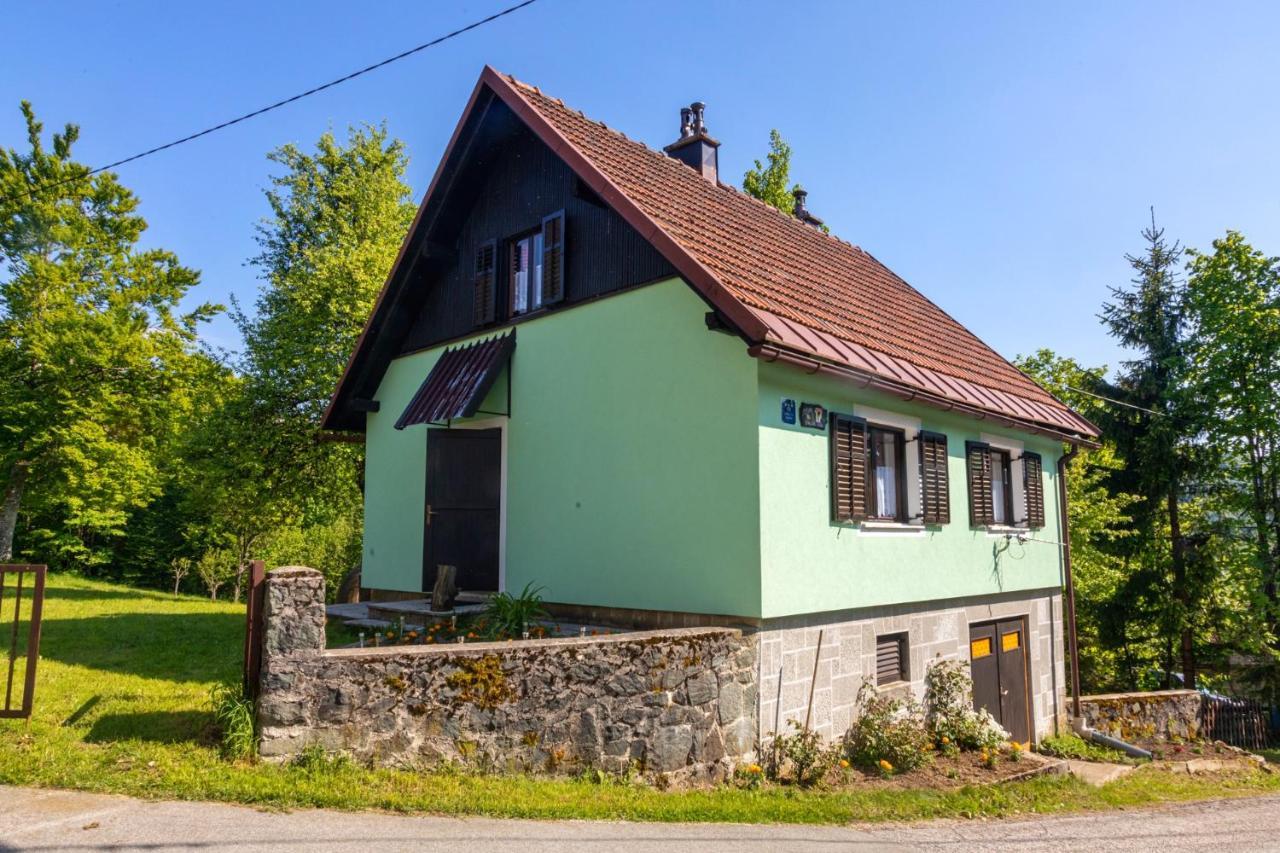 Forest Chalet Zalesina Buitenkant foto