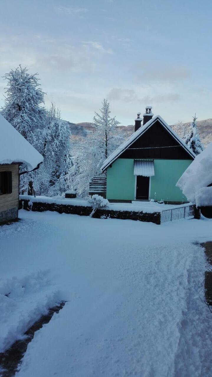 Forest Chalet Zalesina Buitenkant foto